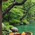 Riverside Café Relaxing Jazz Tranquil River Sounds Cozy Ambience For Relax And Stress Relief