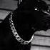 Guru NKZ Who Born Dog Official Audio