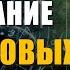 Послание от Световых Цивилизаций Послание от Источника Выход из Эго Матрицы Ливанда