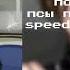 полматери псы попадут в рай Speed Up Nightcore