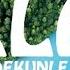 Adekunle Gold Selah Lyrics