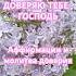 Аффирмации и молитва доверия Богу Доверяю Тебе Господь аффирмации молитва довериеБогу