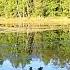Звуки природы Болото Sounds Of Nature Swamp