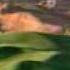 Wolf Creek Golf Club In Scenic Mesquite Nevada Nevada S Ultimate Golf Experience