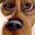Mr Vagas Under Mi Sensi Scooby Remix Wmv