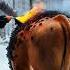 Shocking Tourist Uses Fire To Save Cow From Mysterious Parasites In Snowy Forest