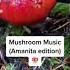 Modern Biology Amanita Mushroom Music Plants Shorts Synth Mushroom