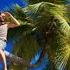 ABBA Sitting In The Palm Tree