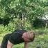 Упражнения на мышцы кора рук плеч грудных спины Shorts Workout Fitness Subscribe Gym Boxing