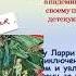 Литературное онлайн знакомство Ян Ларри детский писатель фантаст