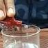 Fire Water Science Experiment Shorts