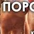 Три Поросенка Краткое Содержание Сказки Три Поросенка Краткий Пересказ Аудиосказки Слушать Сказки