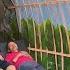 Survival Camping In Heavy Rain Building Oval Hut In Heavy Rain
