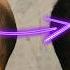 Speed Up Your Hair Growth 2 Simple But Amazing Tricks