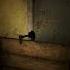 STALKER 2 Секрет в лагере в тоннеле Кордон Stalker2 Shorts