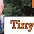 Learn English Words For Size Like Tiny Huge Enormous Gigantic