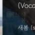 서른 밤째 Album Ver Vocal 한올 새봄 Saevom