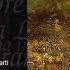 Verdi Attila Sia Gloria A Wodan Act One