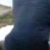 MILLION DOLLAR ASS WOPEING