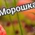 Морошка Юлия Боголепова