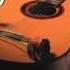 Gitara Sazlary
