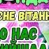 НОВОРІЧНИЙ МАСКАРАД СВЯТКОВА ПІСНЯ ДО НАС ПРИЙШЛА ЯЛИНКА від ЯЛИНОЧКИ