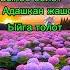 Эн соонун ырлар жыйнагы Кыргызча ырлар жашоо ырларжыйнагы