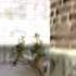 Counter Strike 1 6 Alive HD