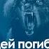 В объятиях Дракулы Часть 10 Сколько человек погибло на горе Дракулы мулдашев