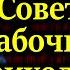 СПИЦЫН УДАЛЬЦОВ Совет рабочих депутатов приходит к власти