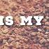 Justin Moore This Is My Dirt Lyric Video