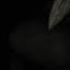 SCP 049 Chase Theme HALLOWEEN CHASE THEME