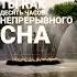 питер спб рекомендации реки популярное любовь дружба Shorts Youtubeshorts Video шортс