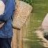 Kind Man Renovates Old Bamboo House For Homeless Girl But Danger Lurks LyTieuNgoc