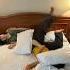 Pasutri Sebelum Tidur Funny Dusunlantam Lantamchannelofficial Comedy Viral
