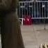 Найдена запись взрыва в бортовом самописце Ту 154 в котором погиб Лех Качиньский