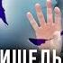 Понять пришельца и не сойти с ума лингвист Александр Пиперски Учёные против мифов 13 6