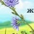 КОНСТАНТИН ПАУСТОВСКИЙ ПОХОЖДЕНИЯ ЖУКА НОСОРОГА Аудиокнига Читает Александр Бордуков