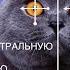 Построение центральная и осевая симметрия