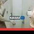 Dolly Parton Drops A Saucy Joke On Set Unseen 9 To 5 Outtake DollyParton