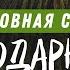 Духовная сила благодарности Алексей Коломийцев