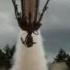 Going Supersonic Punkin Chunkin