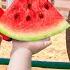 Oliver S Family Trips To The Zoo And Other Fun Animal Videos
