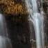 Ludovico Einaudi Plays Ronald S Dream Photography By Pianopod In A Time Lapse Piano Solo