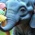Blue Baby Elephant Eating An Ice Cream
