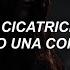 Alan Walker Sorana Mind Of A Warrior Subtitulada Español