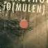 A1 IO Mulen The Last Hour Original Mix Vinyl Only