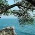 Relaxing Nature Sounds Ocean Sounds And Birds Singing