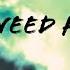Need For Speed ALONE