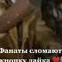 Операция ы и другие приключения Шурика